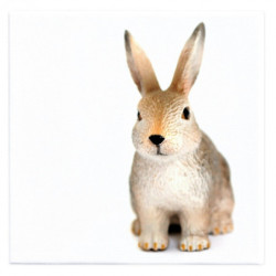 Toile Lapin - Pictoo