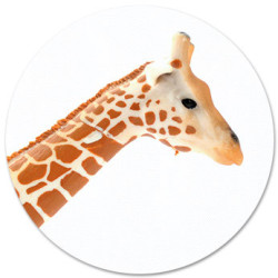 Toile Girafe - Pictoo