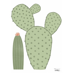 Planche De Stickers Cactus - Lilipinso