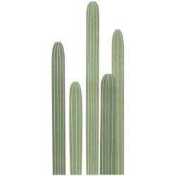 Sticker XL Cactus - Lilipinso