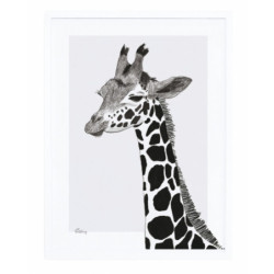 Anc. ref Affiche Encadrée La Girafe - Lilipinso