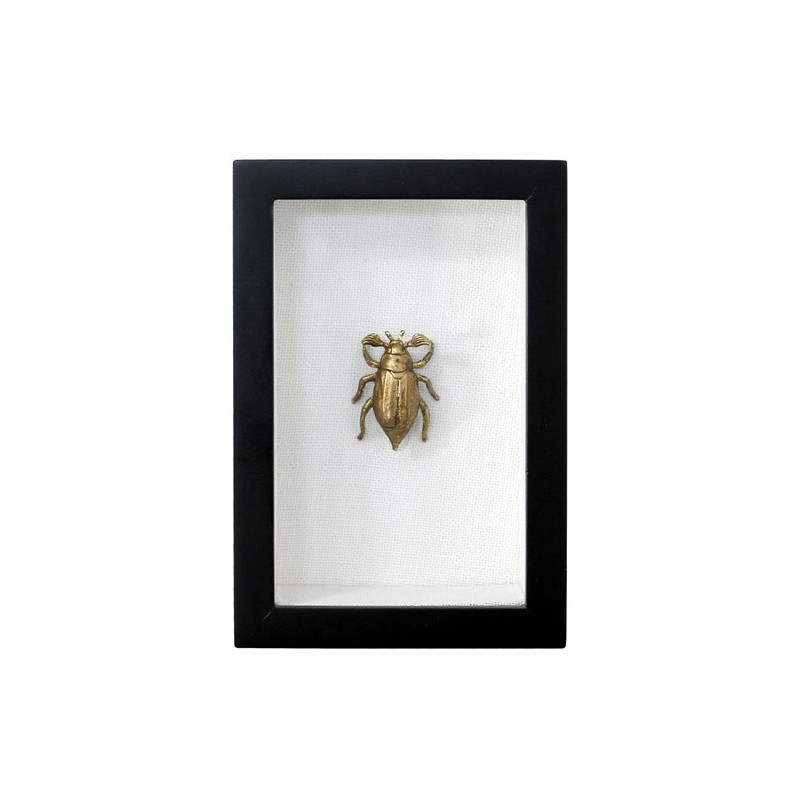 Tableau Beetle - HK Living