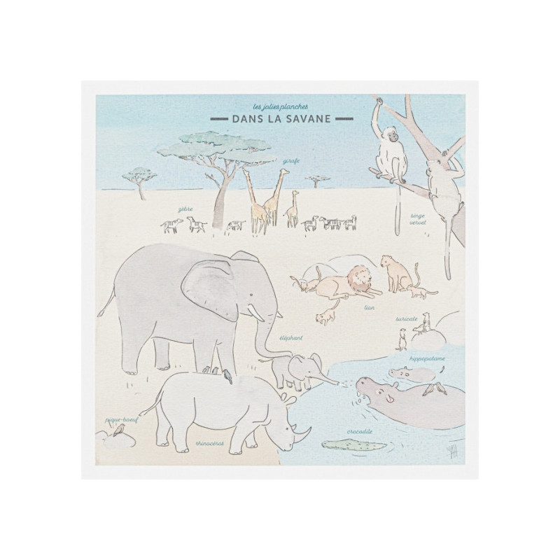 Pack 4 mini planches Faune sauvage - Les Jolies Planches