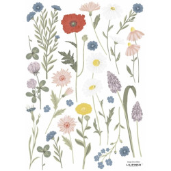 Planche de stickers Fleurs bleuet - Lilipinso