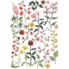Planche de stickers Petites fleurs sauvages - Lilipinso