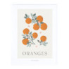 Affiche encadrée Oranges - Lilipinso