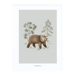 Affiche encadrée Little Bear - Lilipinso