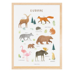 Affiche encadrée Animals from Europe - Lilipinso